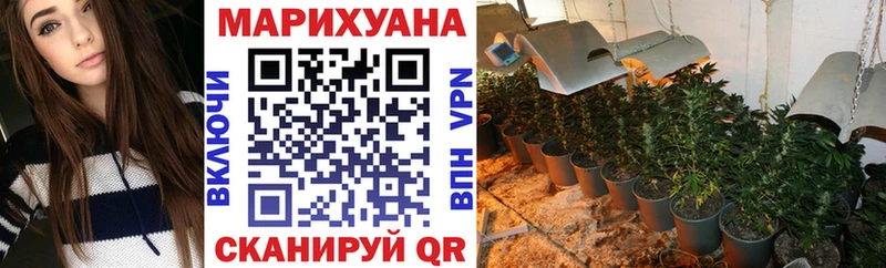 Бошки марихуана тримм  Дмитров 